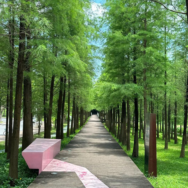 ```東湖公園～適合放鬆的綠色勝地```