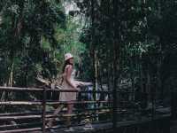 น้ำตกภูสอยดาว อุทยานแห่งชาติภูสอยดาว