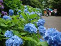 神戶市立森林植物園