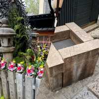【大阪】法善寺：道頓堀附近，適合晚上散步