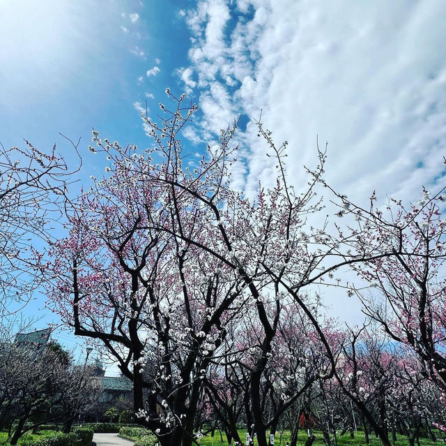 梅林公園