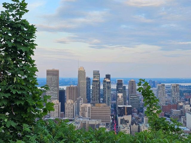 🇨🇦 캐나다 몬트리올 야경은 여기서 보세요 💙