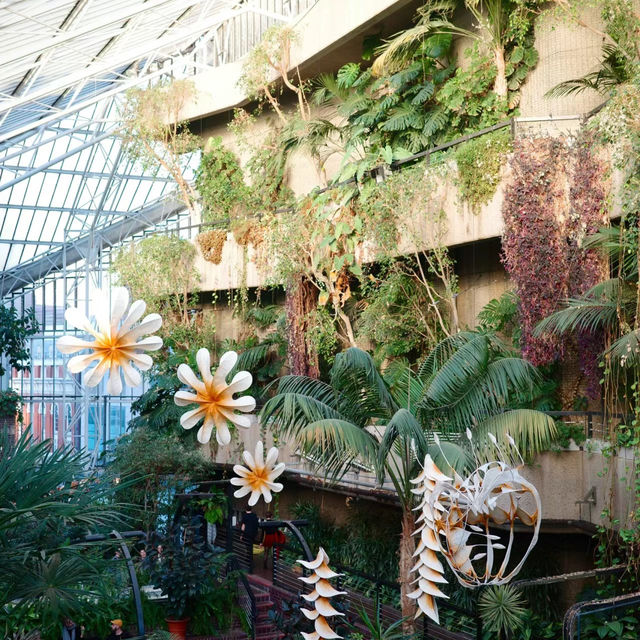 伊豆仙人掌公園：奇特仙人掌品種，絕對視覺體驗