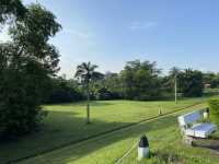Green break from the city 