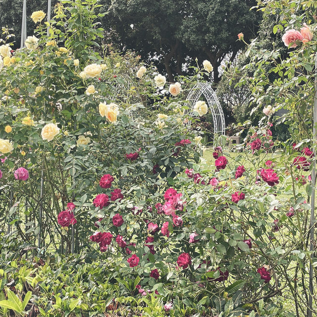 悦來居莊園 🖌 在浪漫的歐式小木屋享受悠閒住宿🏡