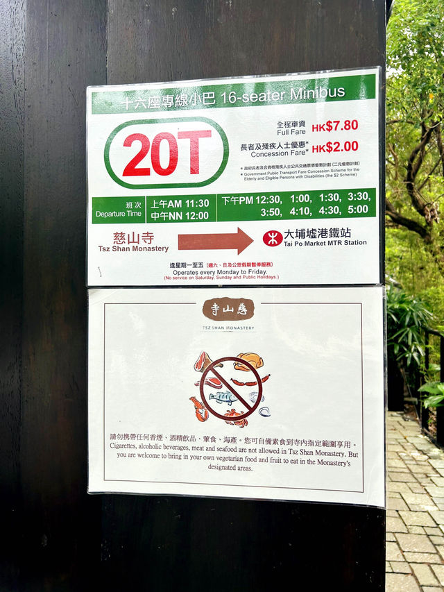 Discovering Peace and Tranquility at Tsz Shan Monastery in Hong Kong