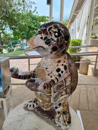 ไปชมน้องเต่าที่ศูนย์อนุรักษ์พันธุ์เต่าทะเล