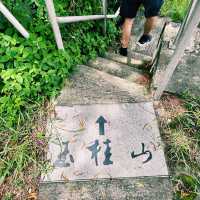 玉桂山鴨脷排行山攻略