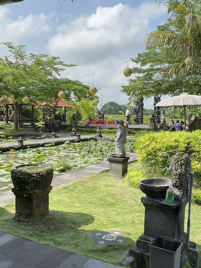 インドネシア🇮🇩バリ島✨ウブドのレストラン🌿🍽️