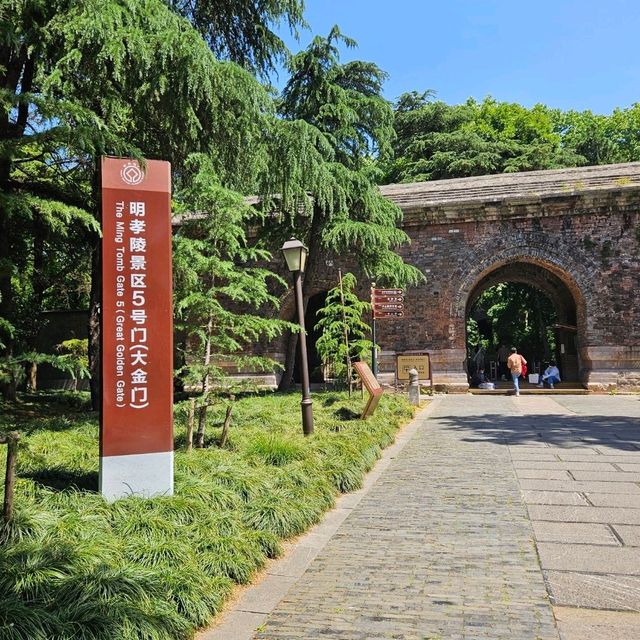 初夏遊南京，漫步明孝陵