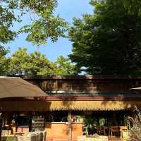 Retro classic car for rent in Khao Yai!