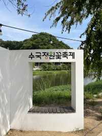 공주 6월 가볼만한 곳 추천! 형형빛깔 유구색동수국정원