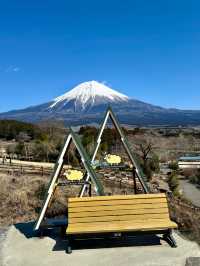 【🗻富士山下的馬飼野牧場🐑🌳】享受寧靜午後時光
