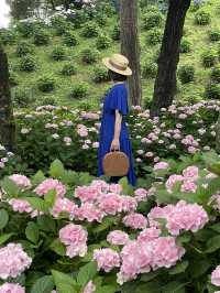 リピート決定💠🤗絶景すぎる紫陽花の楽園🤗💠