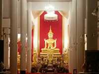 ชมพญานาคเรืองแสง @วัดป่าภูปัง