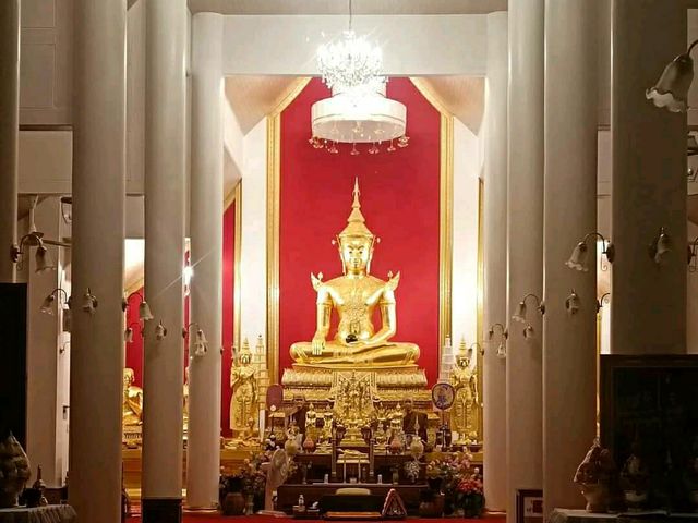 ชมพญานาคเรืองแสง @วัดป่าภูปัง