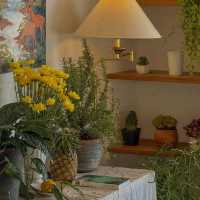 🌼Chaplu Cafe & Restaurant