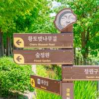 경주의 비밀의 숲, 천년숲정원