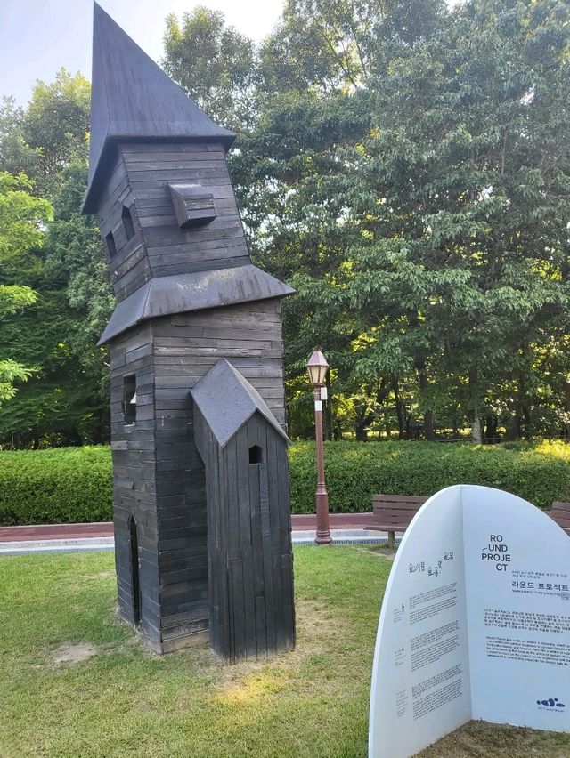 눈호강하는 코스모스와 금계국이 가득한곳