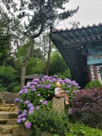 수국이 예쁘게 핀 영도사찰 송남사💜