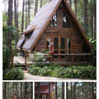 แชร์พิกัดที่เที่ยวที่พักเชียงใหม่หน้าฝน