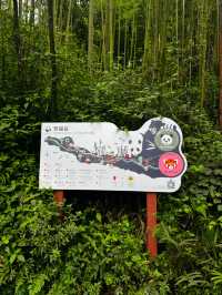 🇨🇳Cute Giants at Dujiangyan Panda Valley 🐼 