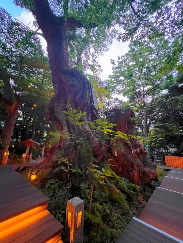 え、ココ神社なの?!えんむすび最強神社で癒されよう🤍