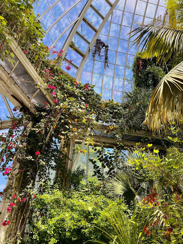 Conservatory and Botanical Garden in Geneva