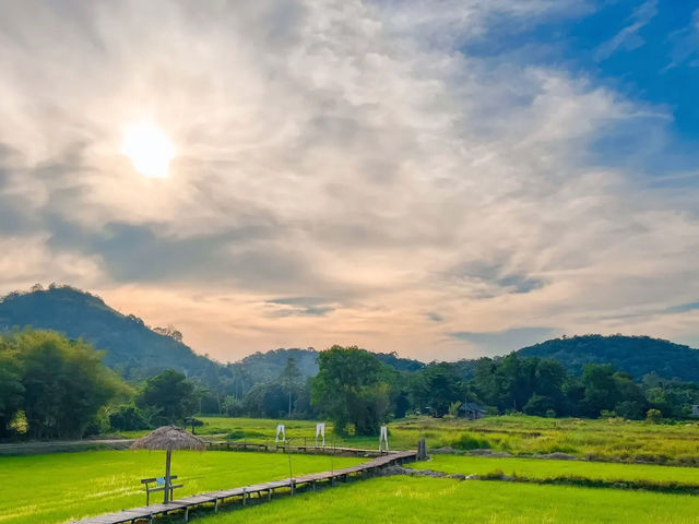 🌳จุดชมวิวเขาหล่น🍃 สะพานทุ่งนา 🌾