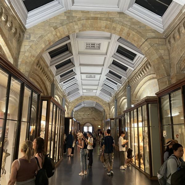 生きた自然史の中へ。博物館の最高峰。ロンドン自然史博物館。 | Trip