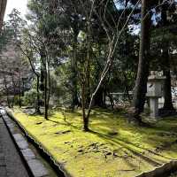 〜京都府〜一度は見よう！世界遺産龍安寺！アートな石庭！