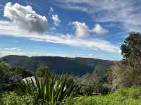 Springbrook National Park
