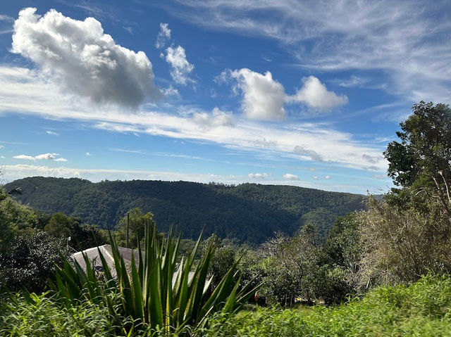 Springbrook National Park