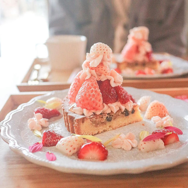 かわいい3色いちごタルト🍓
