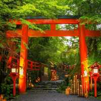 Discover Kifune Shrine ⛩️🇯🇵