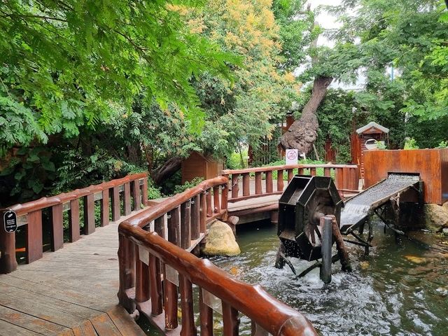 The Garden Cafe - สามโคก ปทุมธานี