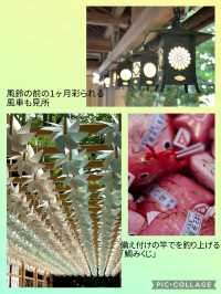 『埼玉』夏の風物詩【風鈴🎐】スポット