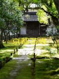一度は行きたい京都の苔寺🌿西芳寺🌿