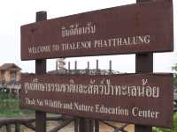 ศูนย์ศึกษาธรรมชาติและสัตว์ป่าทะเลน้อย จ.พัทลุง