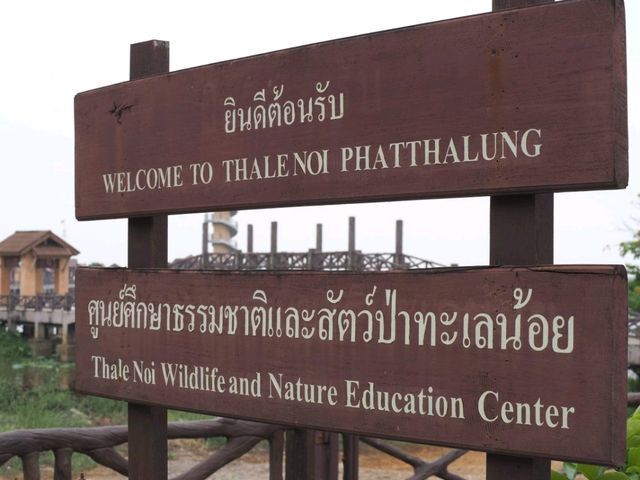 ศูนย์ศึกษาธรรมชาติและสัตว์ป่าทะเลน้อย จ.พัทลุง