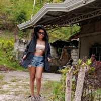 Visit the Famous River in Bohol Philippines 