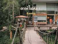 คาเฟ่ในหมง ธรรมชาติ บรรยากาศดี@ระนอง