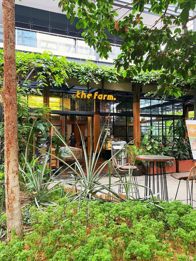 Oh Bangsar South KL had a farm 🌾👩🏻‍🌾👨🏻‍🌾