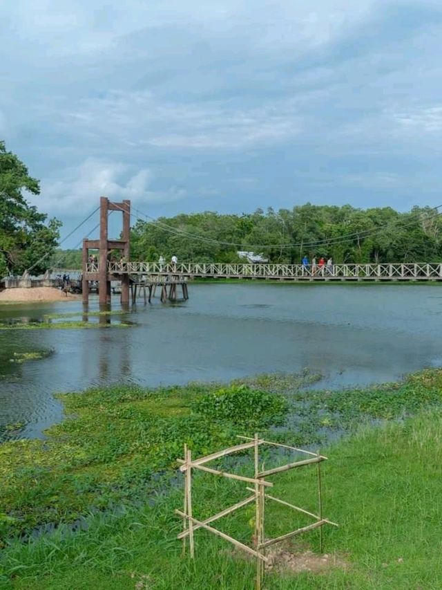พาลูกเที่ยว ดูกวาง สะพานชมกวาง ชุมพร 