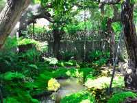 คาเฟ่ในป่าหิมพานต์เชียงใหม่เขียวชะอุ่มสดชื่นมาก