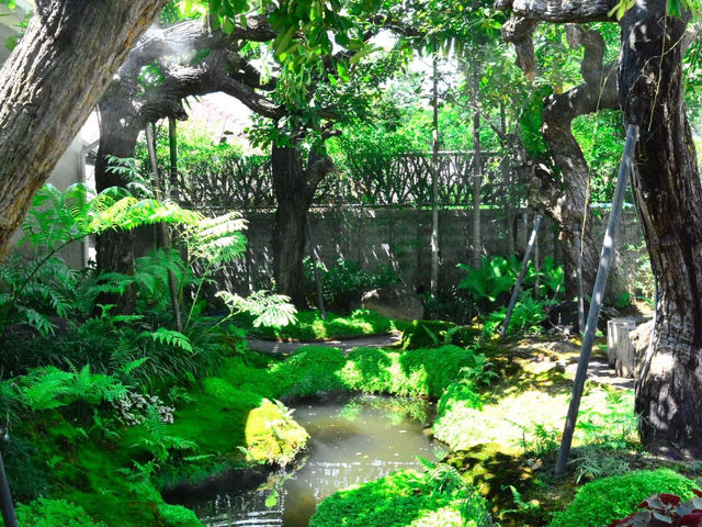 คาเฟ่ในป่าหิมพานต์เชียงใหม่เขียวชะอุ่มสดชื่นมาก