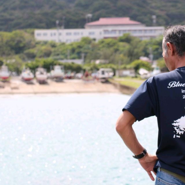 ウミガメの海🏝️奄美大島✨笠利漁港