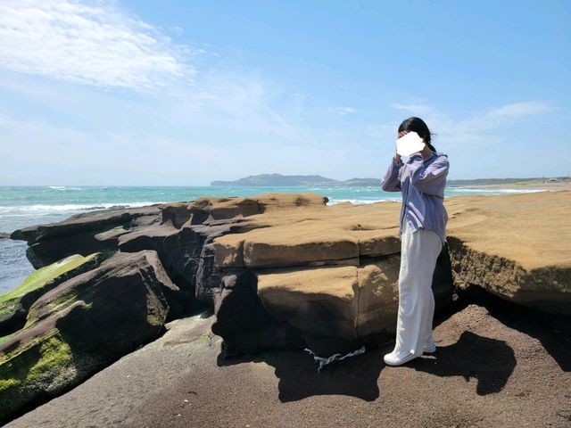 제주도의 이국적이면서 신기한 자연의 신비 📸