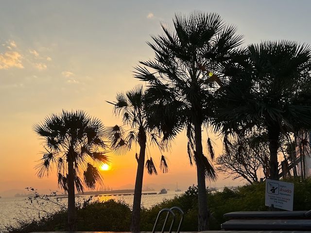📍🏖️De' Anchor
