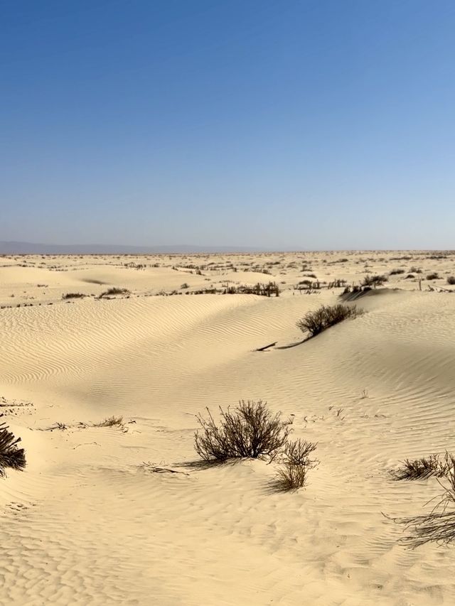 🚗 Epic Road Trip to the South of Tunisia 🏜️